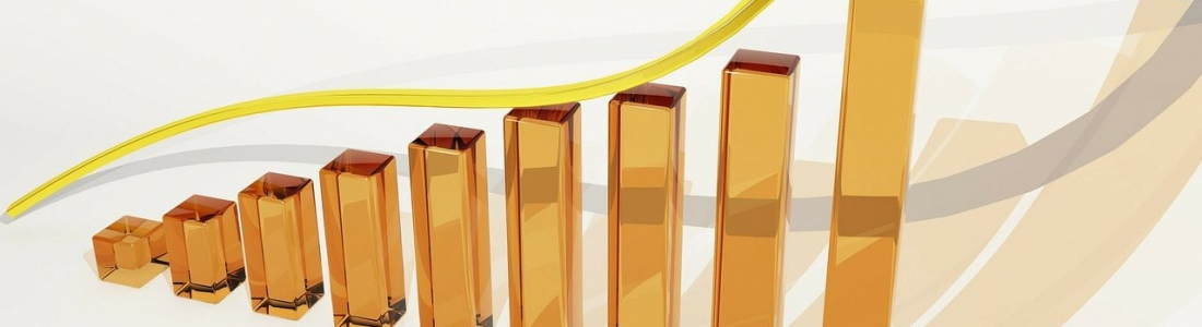 Does New Zealand Need To Prioritise Growth?